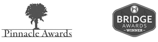 Pinnacle-Bridge-awards-gray