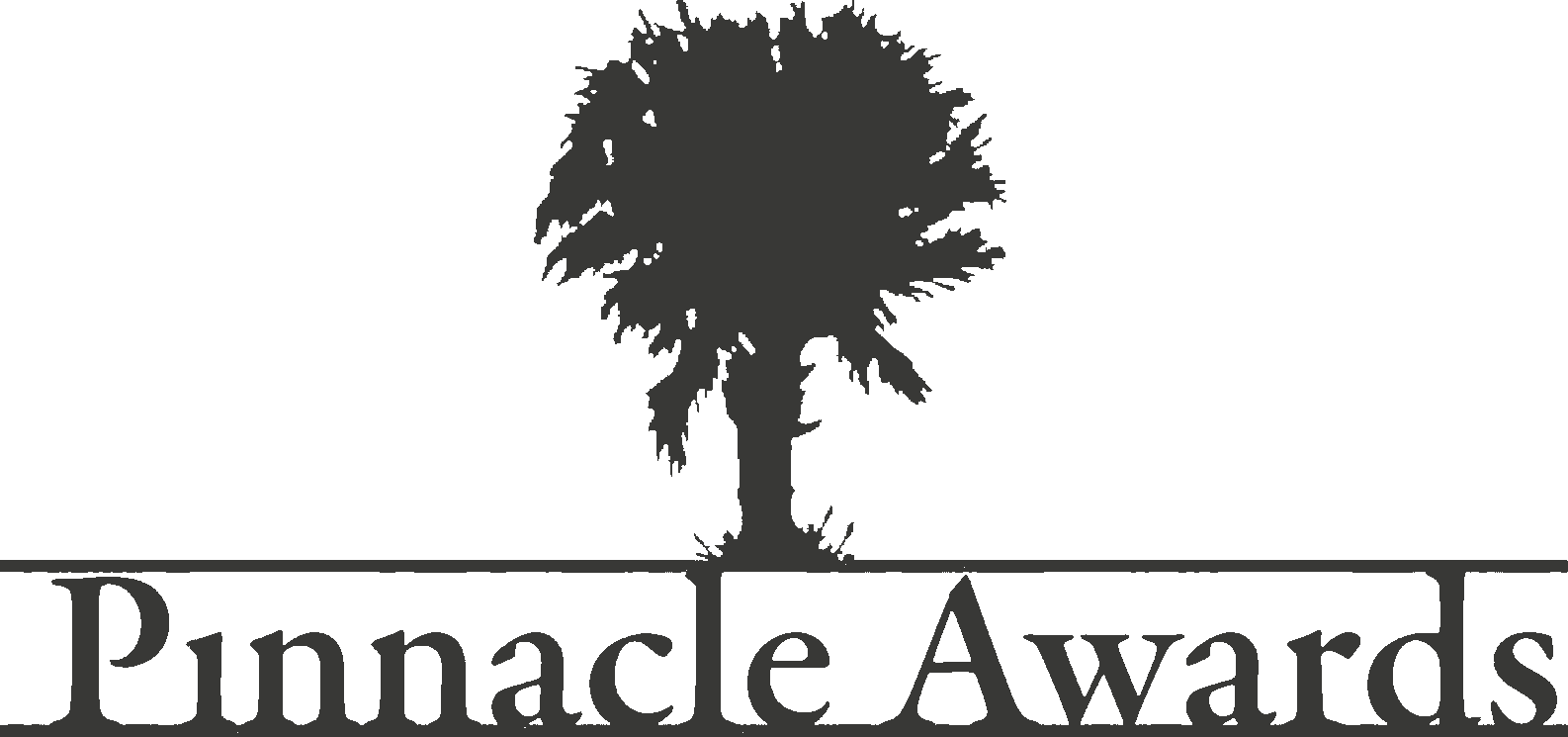 pinnacle-awards-dkGray